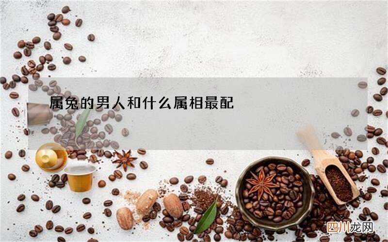 属兔的男人和什么属相最配