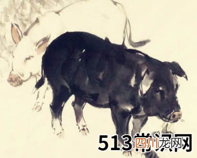 1971年属猪的人是什么命