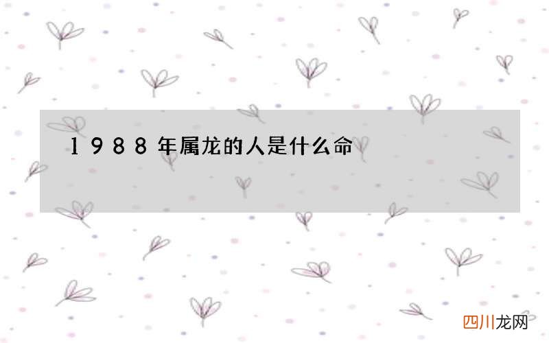 1988年属龙的人是什么命