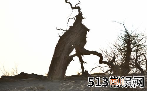 2019年属鼠9月运程解析