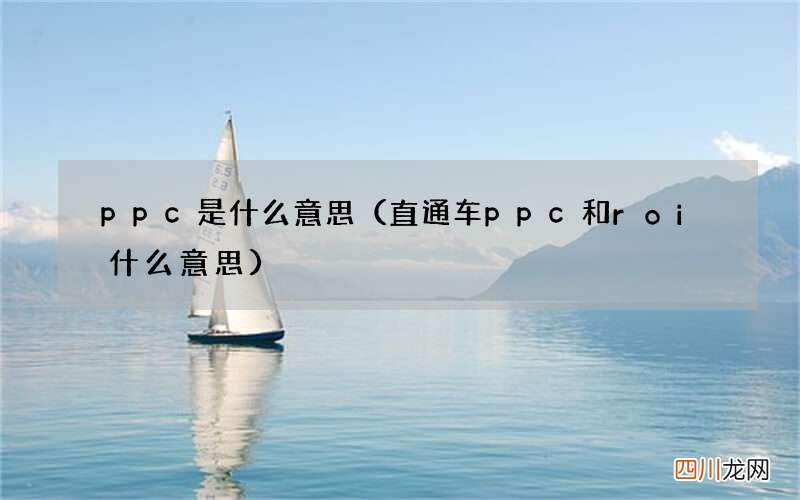 直通车ppc和roi什么意思 ppc是什么意思