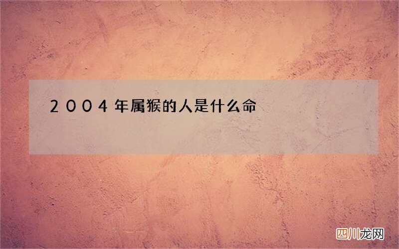 2004年属猴的人是什么命