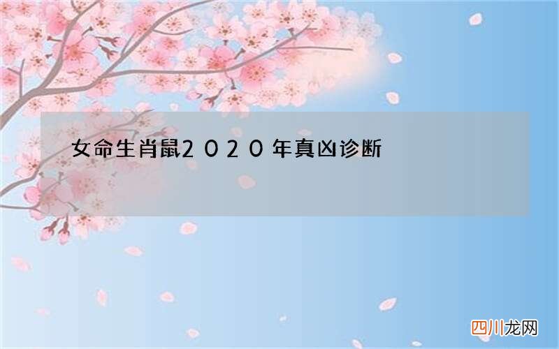女命生肖鼠2020年真凶诊断