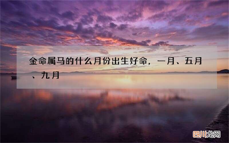 金命属马的什么月份出生好命，一月、五月、九月