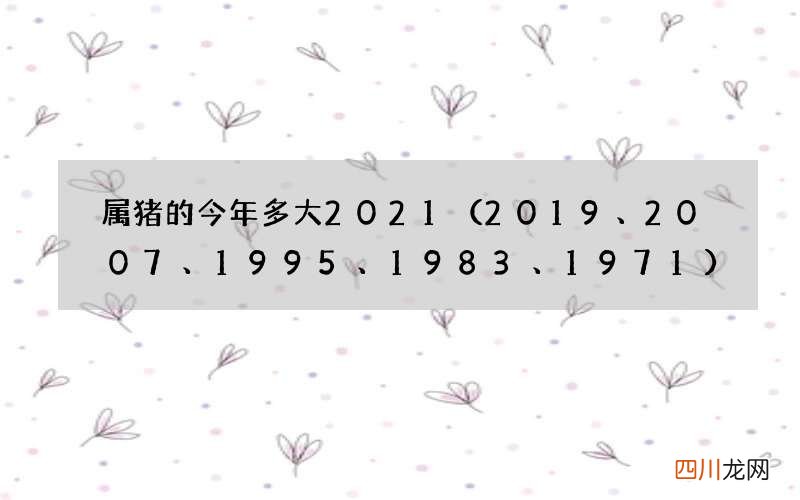 2019、2007、1995、1983、1971 属猪的今年多大2021