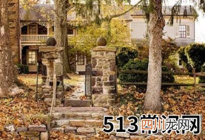 解读梦见院子里长满杂草的象征意义