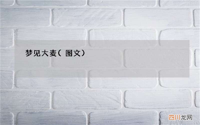 梦见大麦