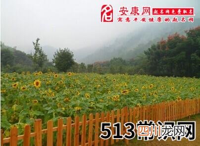 梦见阴天下雨