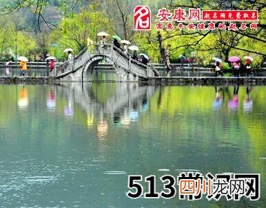 梦见春雨