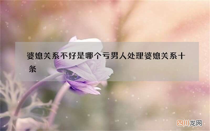 婆媳关系不好是哪个亏 男人处理婆媳关系十条
