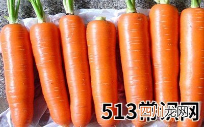 孕妇梦见吃萝卜