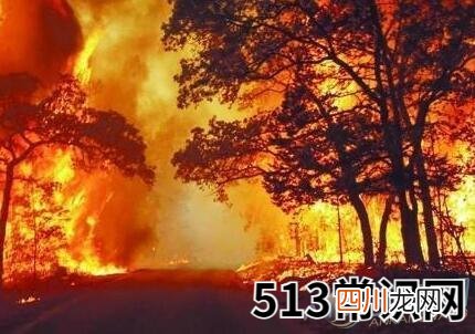 做梦梦到着火