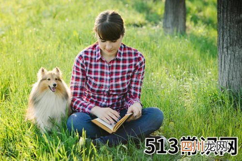 纳音在八字预测中的作用