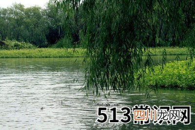 卯木日格的性格特征