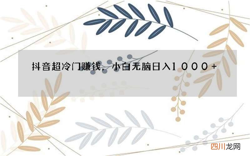 抖音超冷门赚钱，小白无脑日入1000+