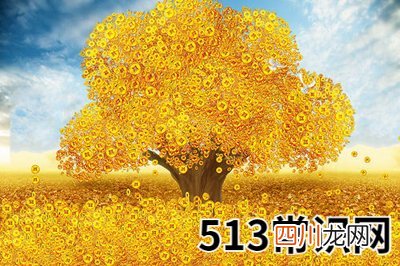 关于禄的位置及含义