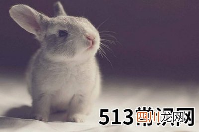 天干之丁的代表意义