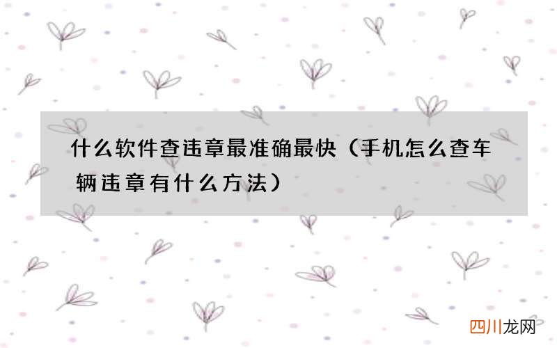 手机怎么查车辆违章有什么方法 什么软件查违章最准确最快