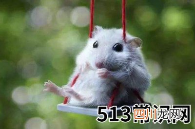 天干之甲的代表意义