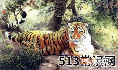 天干之丙的代表意义