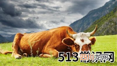天干之乙的代表意义