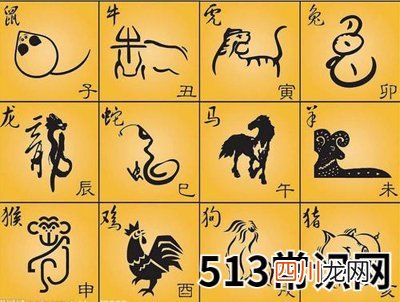 十二生肖对应什么地支？
