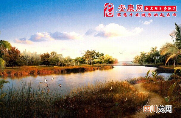 梦见用火烧死人意味什么