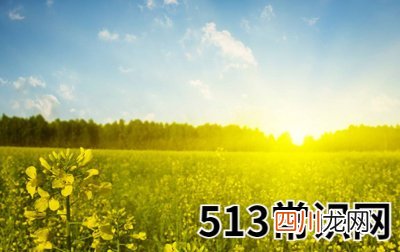 八字指迷之八