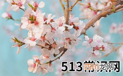 八字 催婚、催丁、催桃花秘法