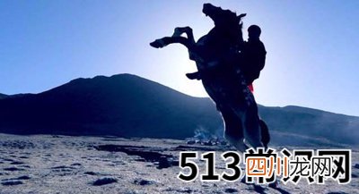 四柱信息取象