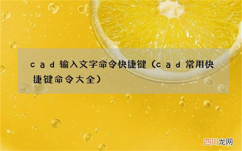 cad常用快捷键命令大全 cad输入文字命令快捷键