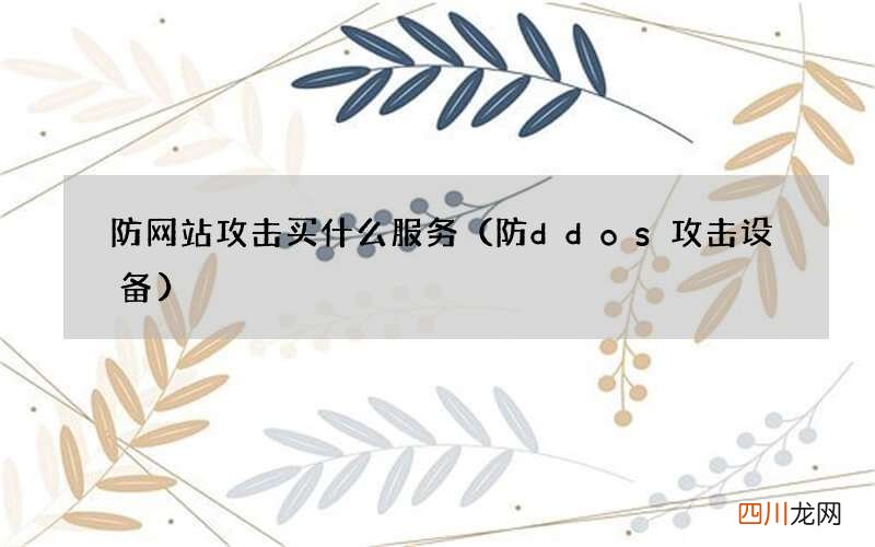 防ddos攻击设备 防网站攻击买什么服务