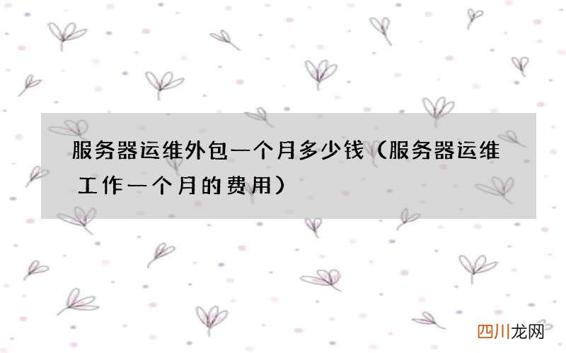 服务器运维工作一个月的费用 服务器运维外包一个月多少钱