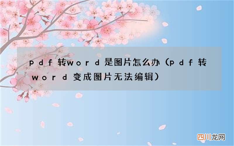 pdf转word变成图片无法编辑 pdf转word是图片怎么办