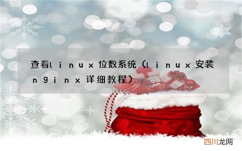 linux安装nginx详细教程 查看linux位数系统