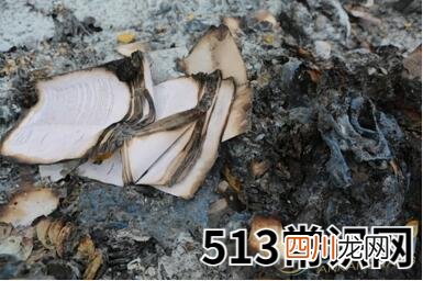 梦见烧冥钱