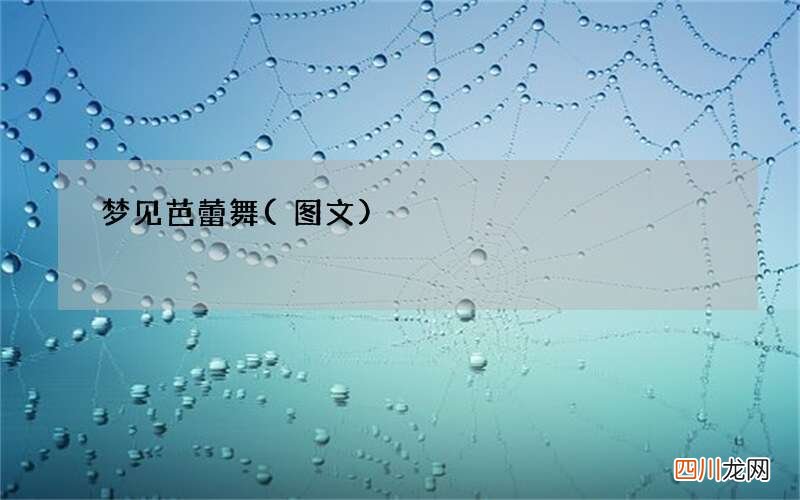 梦见芭蕾舞