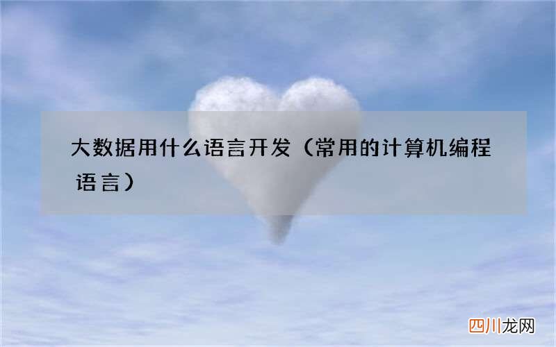常用的计算机编程语言 大数据用什么语言开发