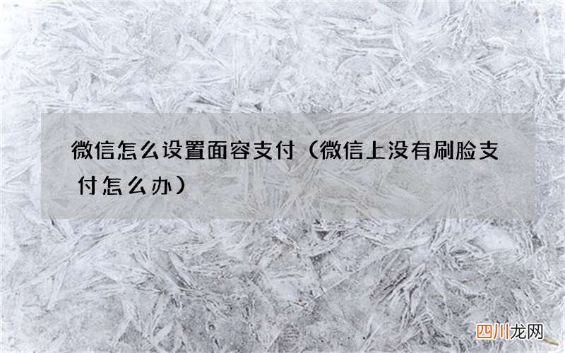 微信上没有刷脸支付怎么办 微信怎么设置面容支付