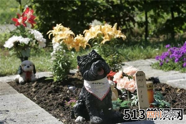 梦见下葬有什么说法！