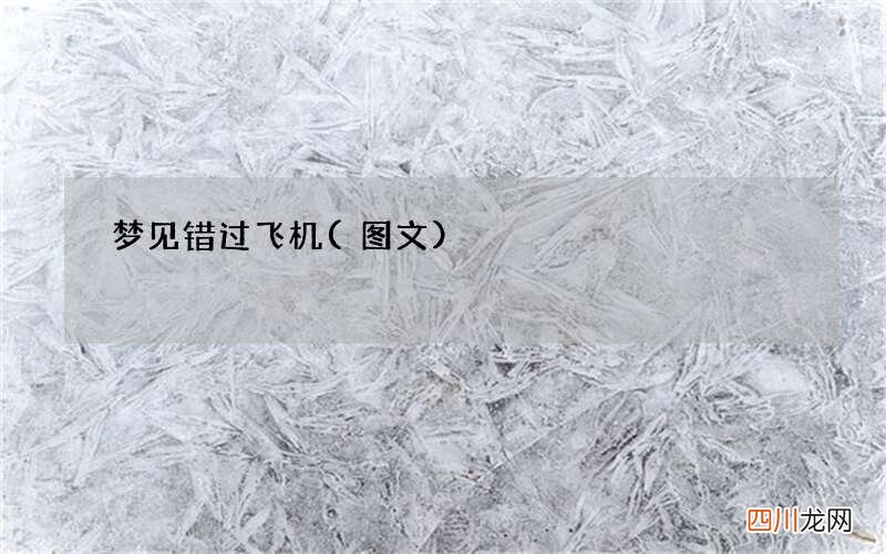 梦见错过飞机