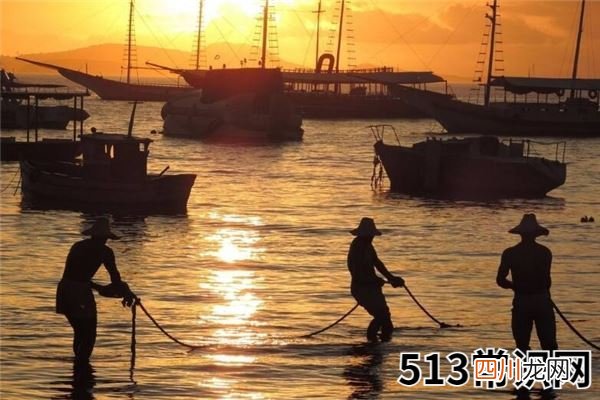 梦见捞鱼