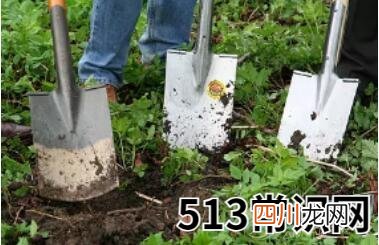 梦见挖坟的象征意义是好是坏？