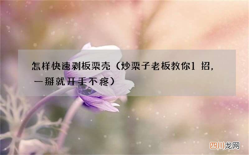炒栗子老板教你1招，一掰就开手不疼 怎样快速剥板栗壳