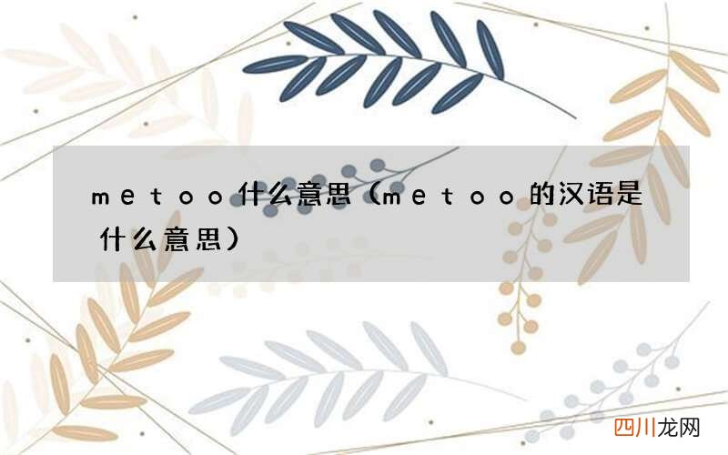 metoo的汉语是什么意思 metoo什么意思