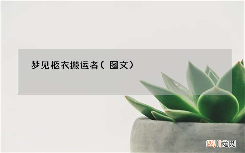 梦见柩衣搬运者