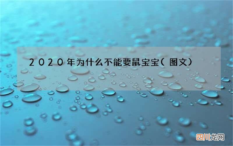 图文 2020年为什么不能要鼠宝宝