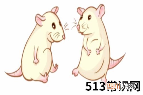 图文 1996年属鼠女性2021年运势 96年25岁属鼠人2021年每月运势