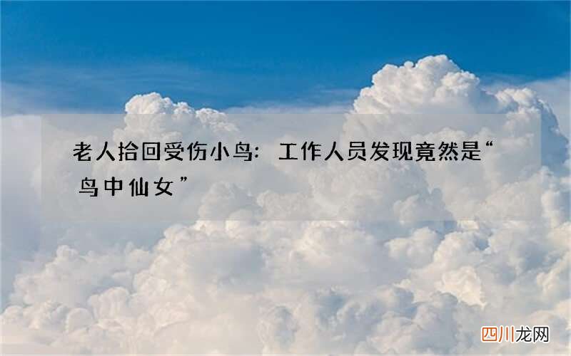 老人拾回受伤小鸟:工作人员发现竟然是“鸟中仙女”