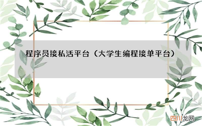 大学生编程接单平台 程序员接私活平台